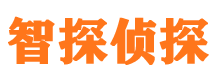 安岳寻人公司